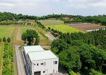 Establishment of Kui Farm