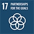 17.PARTNERSHIPS FOR THE GOALS