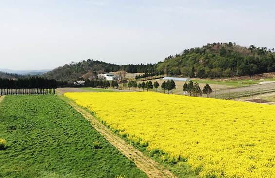 试验农场