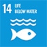 14.LIFE BELOW WATER