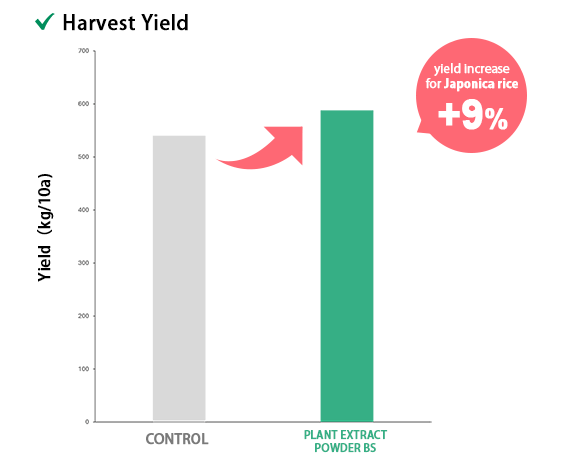 Japonica rice — yield chart