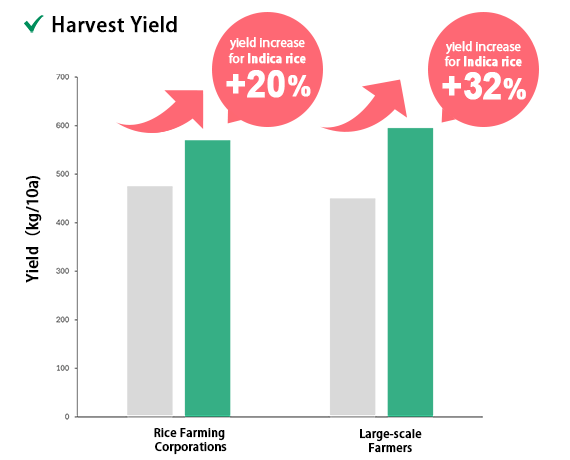 Indica rice — yield chart
