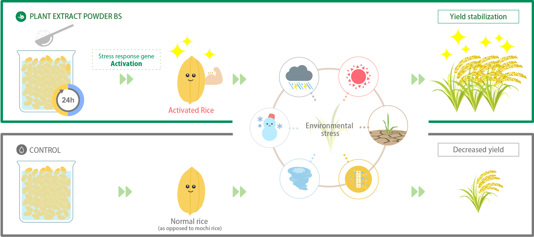 Mechanism of action