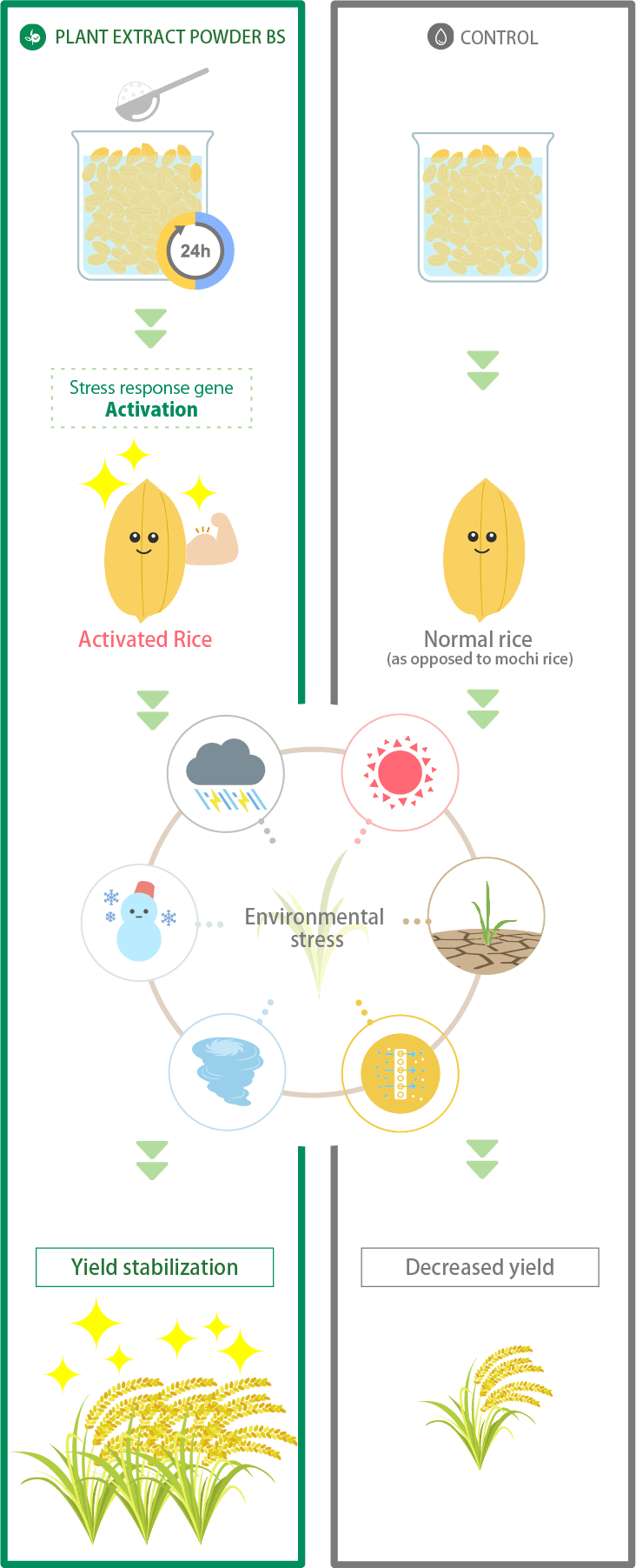 Mechanism of action