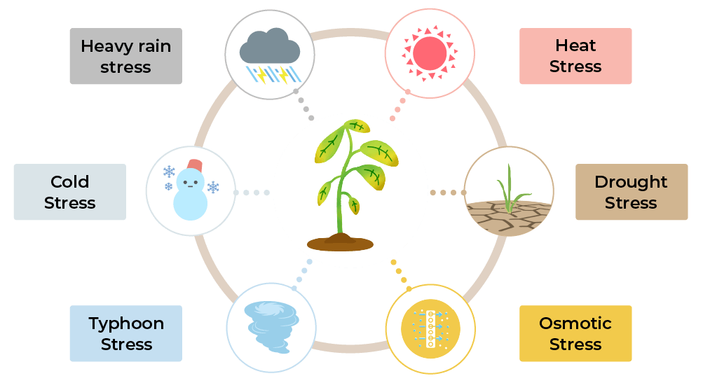 environmental stresses