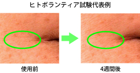 原料辞典 甘草 甘草葉 健康食品 化粧品原料なら丸善製薬株式会社