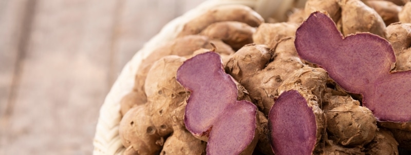 ブラックジンジャーとは