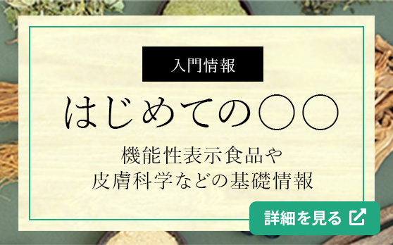 はじめての○○