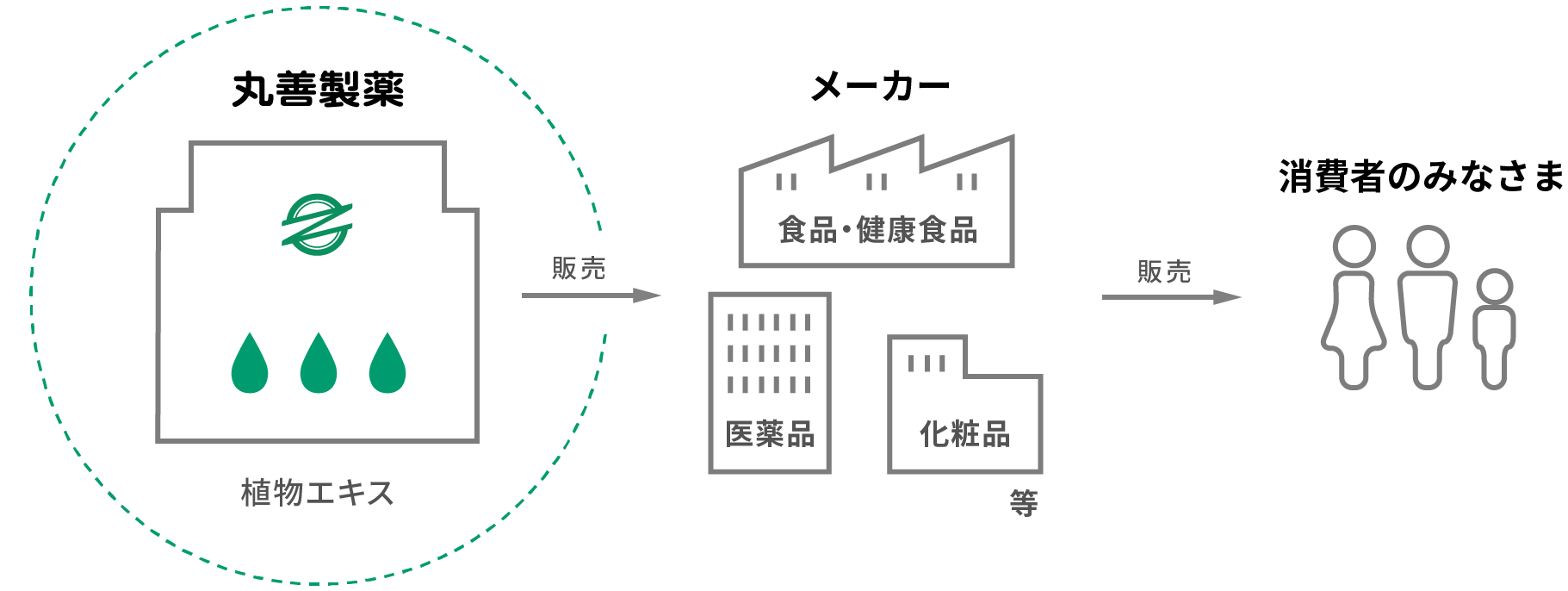 丸善製薬のビジネスとは?