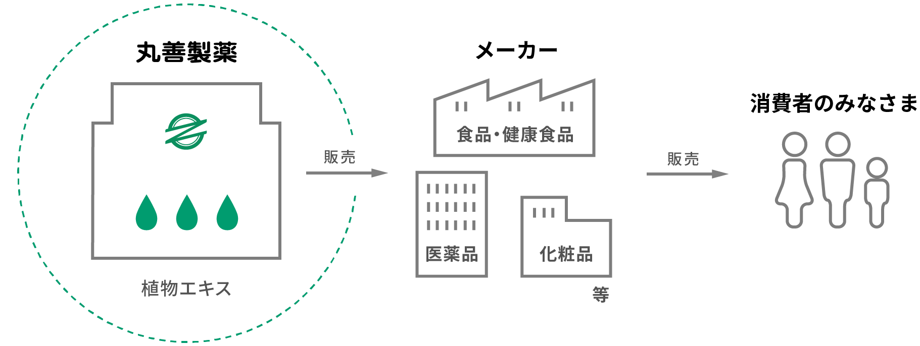 丸善製薬のビジネスとは？