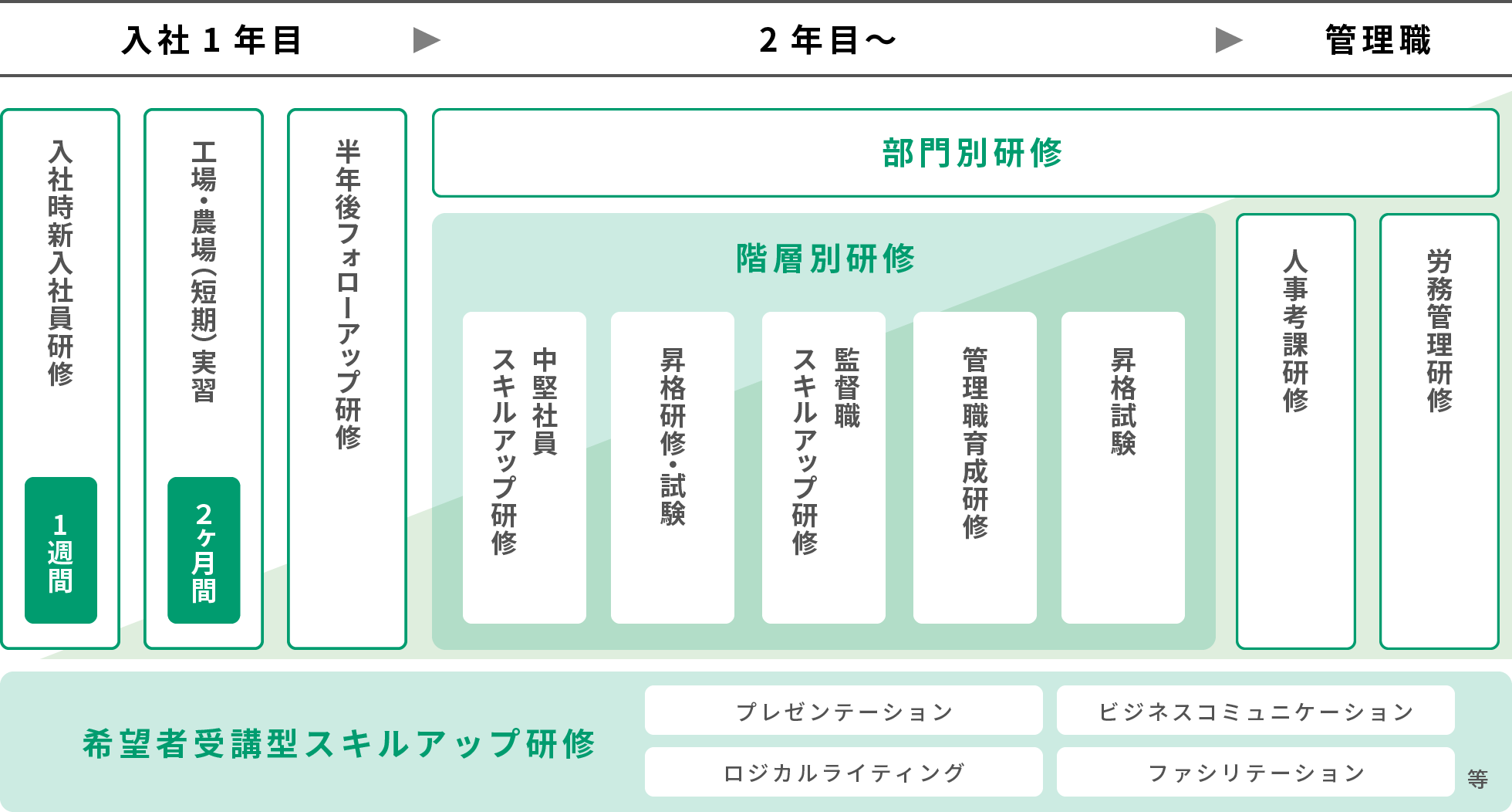 入社一年目　（入社時新人社員研修（一週間）　工場・農場実習（2か月間）　半年後フォローアップ研修（2日間））二年目から－部門別研修　階層別研修（中堅社員スキルアップ研修、昇格研修・試験、監督職スキルアップ研修、管理職育成研修、昇格試験）管理職－人事考課研修、労務管理研修　希望者スキルアップ研修－プレゼンテーション、ビジネスコミュニケーション、ロジカルライティング、ファシリテーションスキル